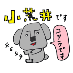 [LINEスタンプ] コアラの小荒井さん