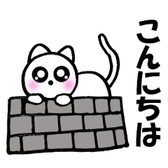 [LINEスタンプ] 可愛い白猫 シロちゃん1 時々敬語の画像（メイン）
