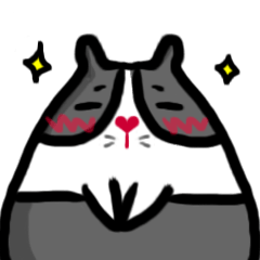 [LINEスタンプ] Hello ！ I'm rabbit YUYU ！！！