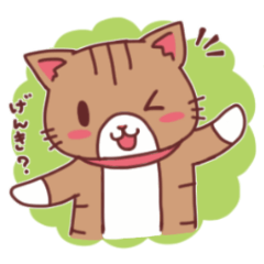 [LINEスタンプ] にゃーにゃの日常