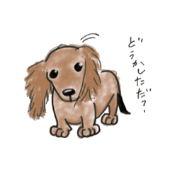 [LINEスタンプ] ちょい長めのわんこたち 