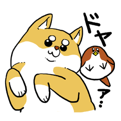 [LINEスタンプ] 柴犬きなこのスタンプ