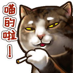 [LINEスタンプ] Cut Cat Help you speak