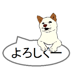 [LINEスタンプ] 白柴犬のバニラちゃん