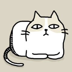 [LINEスタンプ] cool cool cat