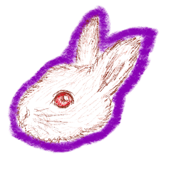 [LINEスタンプ] ウサギの時間