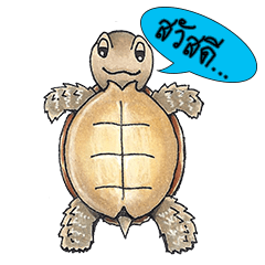 [LINEスタンプ] Sulcata tortoise