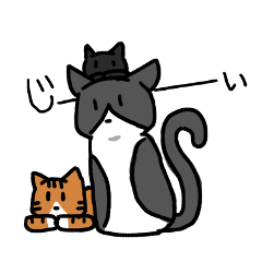 [LINEスタンプ] 毎日気ままなネコ3匹 