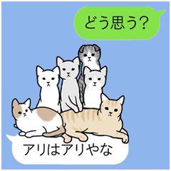 [LINEスタンプ] もふもふ猫の吹き出し関西弁の画像（メイン）