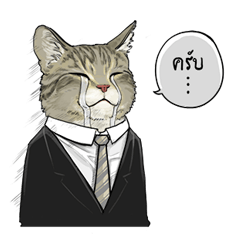 [LINEスタンプ] 40 Serious catsの画像（メイン）