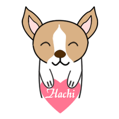 [LINEスタンプ] Hachi's daily life