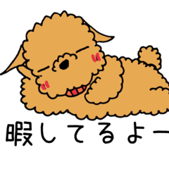 [LINEスタンプ] トイプードルのビーさん