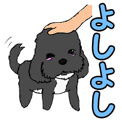[LINEスタンプ] 喋るMIX犬「サスケ」