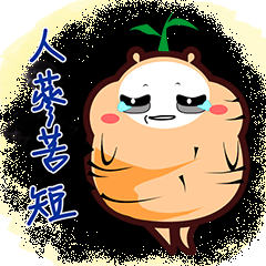 [LINEスタンプ] This is Ginseng