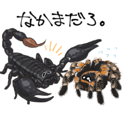 [LINEスタンプ] クモちゃんすたんぷ