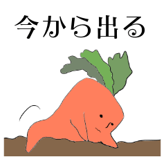 [LINEスタンプ] 今日のニンジン。