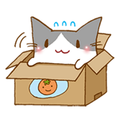 [LINEスタンプ] うりたまごのねこの画像（メイン）