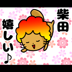 [LINEスタンプ] 私、柴田ですが…（スタンプ/40個）