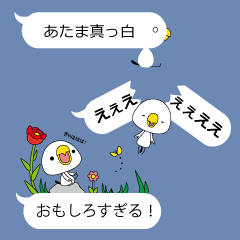 [LINEスタンプ] キュートなトリの吹き出しスタンプ