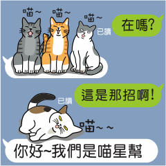 [LINEスタンプ] Meow Star to help~Occupy Chat
