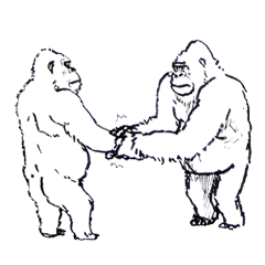 [LINEスタンプ] Gonger_GORILLA