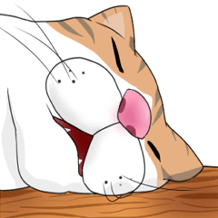 [LINEスタンプ] Hey~Go to clear the cat litter.