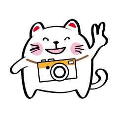[LINEスタンプ] Lucky Momo The Camera Cat