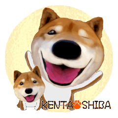 [LINEスタンプ] 柴犬の「芝けん太」2