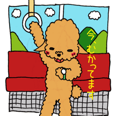 [LINEスタンプ] トイプードルのビーさん 2