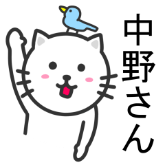 [LINEスタンプ] 中野さんに便利なネコ