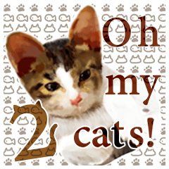 [LINEスタンプ] Oh my cat's！2超リアルネコスタンプの画像（メイン）