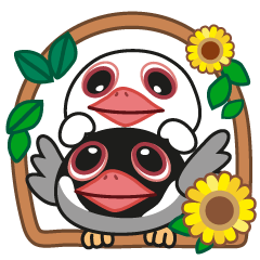 [LINEスタンプ] QQ Java Sparrow 4