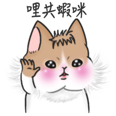 [LINEスタンプ] KIGO has something to share with you