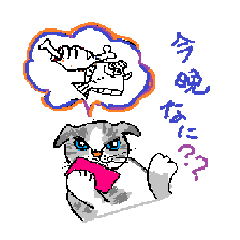 [LINEスタンプ] ネコ物語