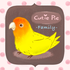 [LINEスタンプ] Cutie Pie the birdy familyの画像（メイン）