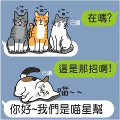[LINEスタンプ] Meow Star to help~~Occupy Chat