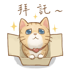 [LINEスタンプ] Cat's Lifestyle(Chinese Ver.)