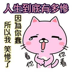 [LINEスタンプ] The Life:cat will tell you(Chinese)の画像（メイン）