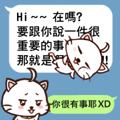 [LINEスタンプ] Daimao Cat's practical dialogue！