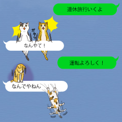 [LINEスタンプ] 関西弁の吹き出し子猫の画像（メイン）
