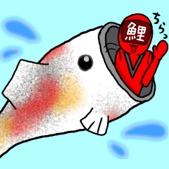 [LINEスタンプ] 真っ赤な鯉レンジャー2