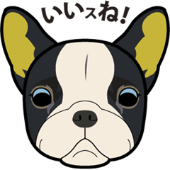 [LINEスタンプ] 動物が語り掛けるスタンプ