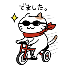 [LINEスタンプ] ねこが発信！日常会話