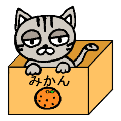 [LINEスタンプ] ブサ猫のココ