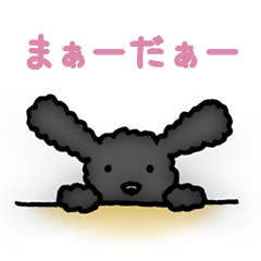 [LINEスタンプ] トイプードルのぴちこ
