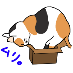 [LINEスタンプ] まいにち猫ばかり