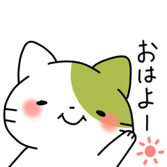 [LINEスタンプ] 癒し系猫のひーさん