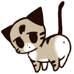 [LINEスタンプ] ねこのふーちゃん＆チコたん