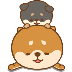 [LINEスタンプ] 柴犬まめたん（よく使う言葉編）